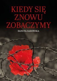 Kiedy się znowu zobaczymy - ebook mobi Danuta Sadowska