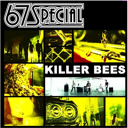 Killer Bees (Bundle) 67 Special