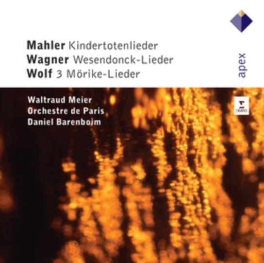 Kindertotenlieder, Wesendonck-Lieder, 3 Morike-Lieder Orchestre de Paris, Meier Waltraud