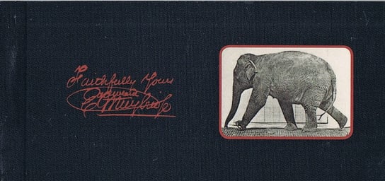 Kineograf Muybridge Flipbook - Kroczący Słoń (Edycja 2011) Kineograf
