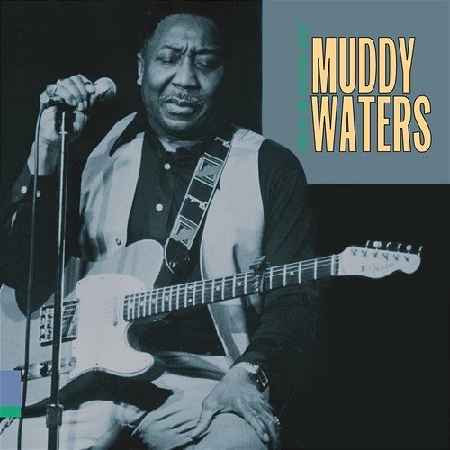 Mean Old Frisco Blues Muddy Waters