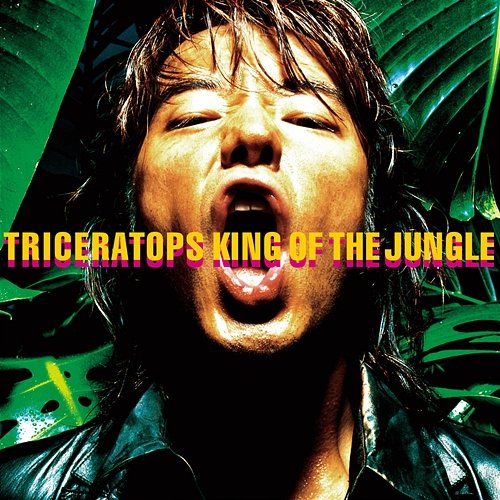 KING OF THE JUNGLE TRICERATOPS