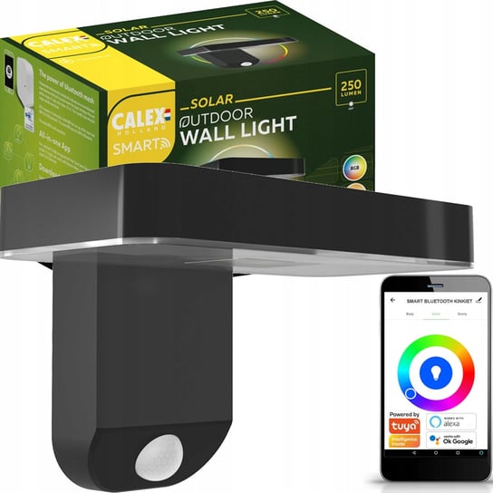 Kinkiet Solarny Ogrodowy Elewacyjny LED RGBW Bluetooth MESH Smart TUYA CALEX NNLED