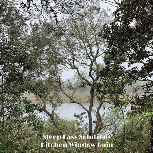 Kitchen Window Rain Sleep Easy Solutions