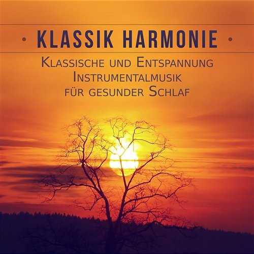 Klassik Harmonie - Klassische und Entspannung Instrumentalmusik für gesunder Schlaf, Meditation und Wohlbefinden Erazm Jahnke, Lucecita Medrano