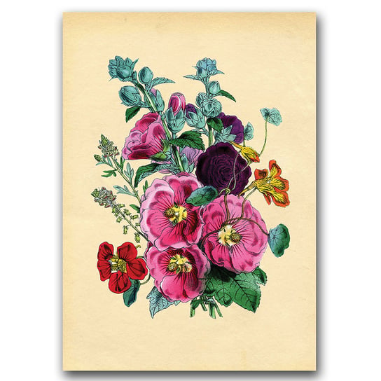 Klasyczny plakat do pokoju Kwiat Malwy A3 Vintageposteria