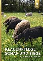 Klauenpflege Schaf und Ziege Strobel Heinz