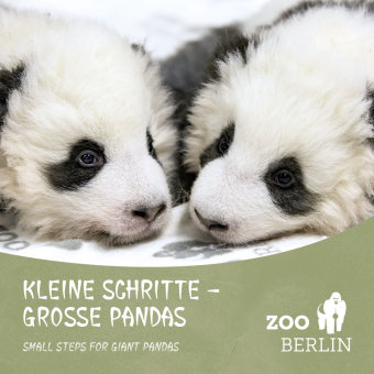 Kleine Schritte - Große Pandas / Small steps for giant Pandas Wimmelbuchverlag