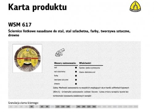 KLINGSPOR ŚCIERNICA LISTKOWA NASADZANA 125mm WSM615 gr.240 KLINGSPOR