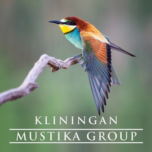 Kliningan Mustika Group