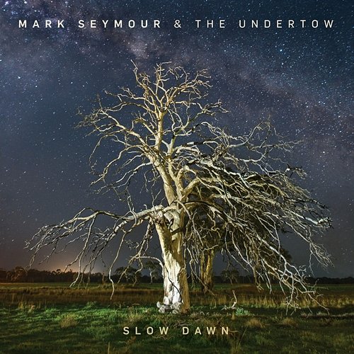 Kliptown Mud Mark Seymour & The Undertow, Mark Seymour