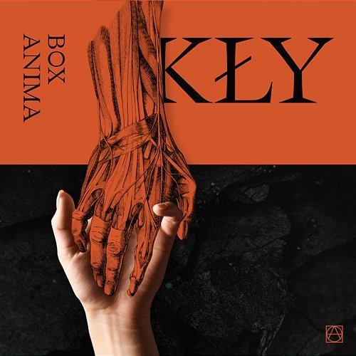 Kły Box Anima