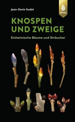 Knospen und Zweige Verlag Eugen Ulmer