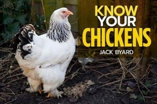 Know Your Chickens Jack Byad