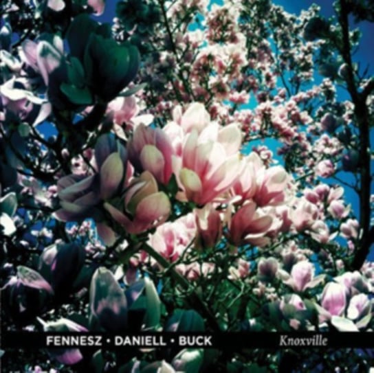 Knoxville, płyta winylowa Fennesz/Deniell/Buck