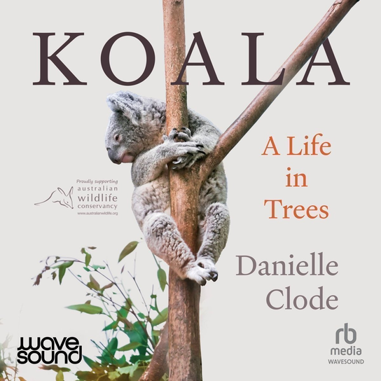 Koala - audiobook Clode Danielle