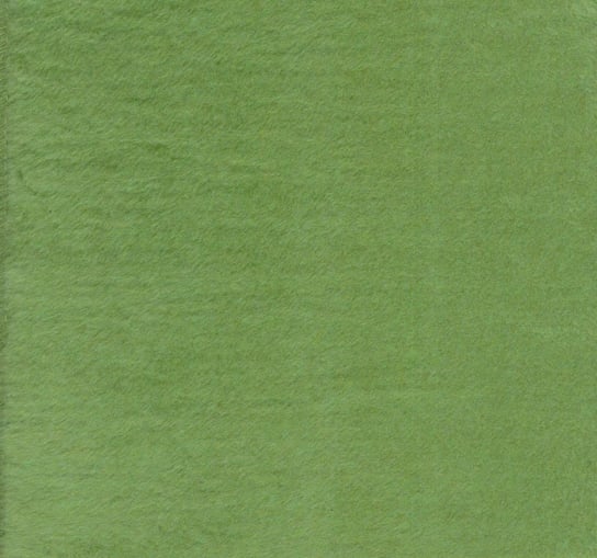Koc bawełniany akrylowy 150x200 0293/14 zielony narzuta pled Tytan