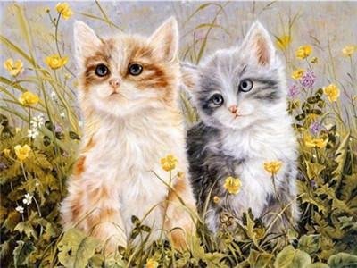Kociaki na łące - Malowanie po numerach 50x40 cm ArtOnly