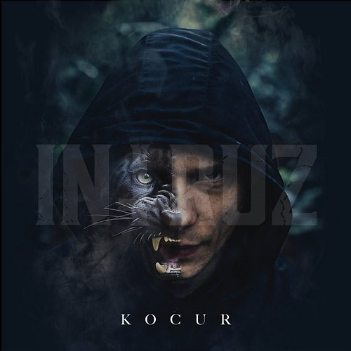 Kocur Intruz