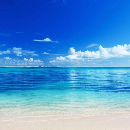 Kodak Jay Ocean