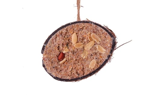 Kokos tłuszczowy ORZECHOWY dla ptaków zimujących Gami