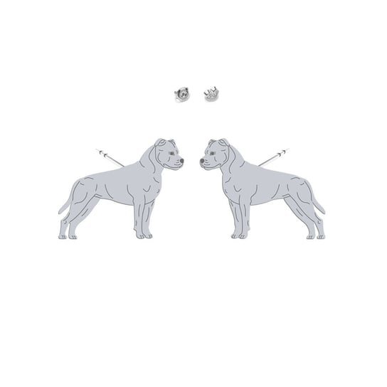 Kolczyki American Staffordshire Terrier (Amstaff) - MEJK Jewellery Radziszewska