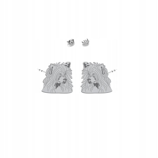 Kolczyki Srebrne 925 z psem Grzywacz Chiński Powder Puff Kobieta DEDYKACJA Mejk Jewellery