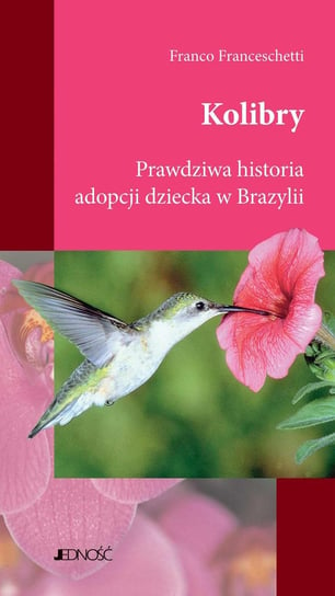 Kolibry. Prawdziwa historia adopcji dziecka w Brazylii Franceschetti Franco