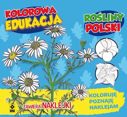 Kolorowa edukacja. Rośliny Polski Kryciński Michał