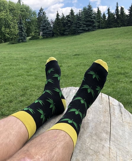 Kolorowe skarpetki męskie w zielone liście konopi, marihuana na czarnym tle 4lck Skarpety