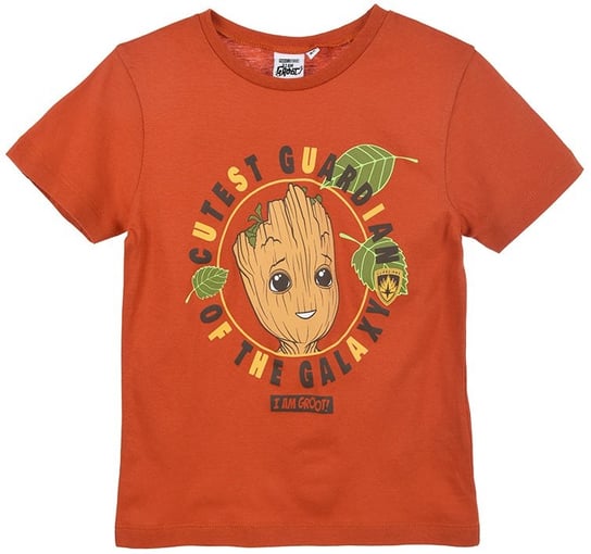 Kolorowy t-shirt chłopięca z krótkim rękawem Groot Strażnicy Galaktyki SunCity