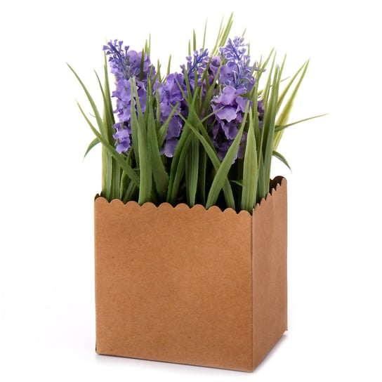 Kolory Prowansji, Sztuczna roślina w pudełku, dzikie kwiaty Empik