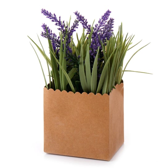 Kolory Prowansji, Sztuczna roślina w pudełku, lawenda Empik