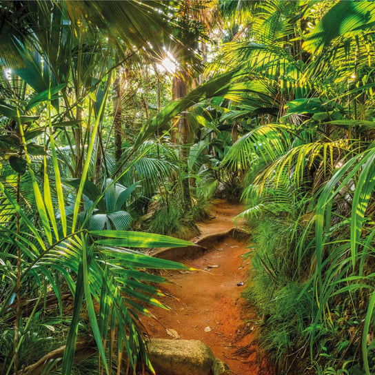 Komar Fototapeta Jungle Trail, 368 x 254 cm Komar