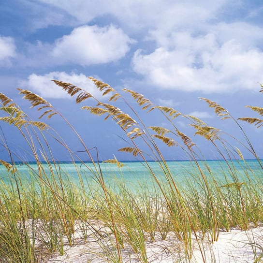 Komar Fototapeta Ocean Breeze, 368 x 254 cm Komar