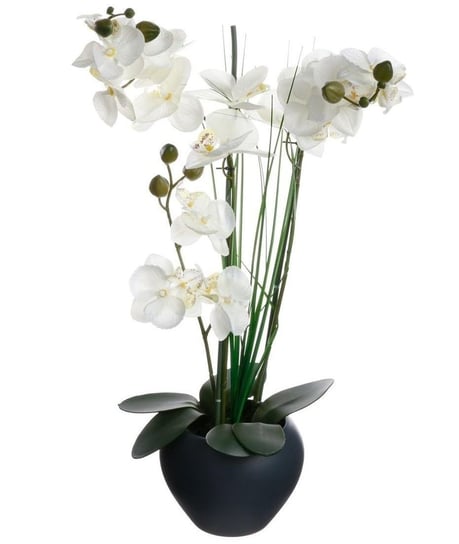 Kompozycja kwiatowa- storczyk z ceramiczną doniczką, wysokość 53cm Atmosphera