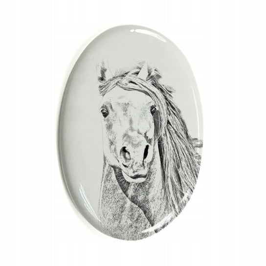 Koń Pintabian Płytka ceramiczna pamiątka Inna marka