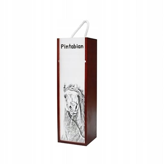 Koń Pintabian Pudełko na wino z grafiką zdjęciem Inna marka