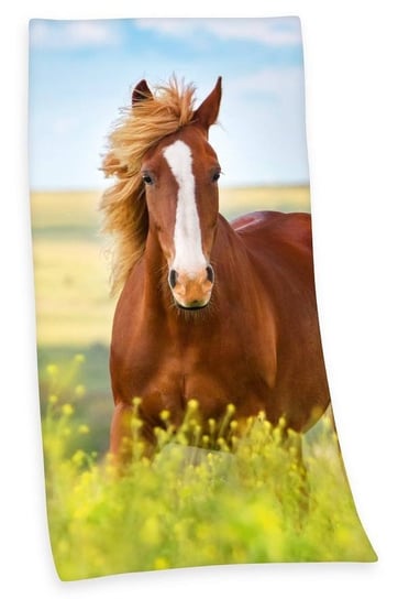 Koń Zwierzęta Animals Ręcznik Kąpielowy 140x70 cm Herding