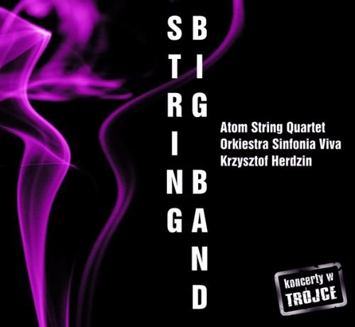 Koncerty w Trójce. Volume 5: String Big Band String Big Band