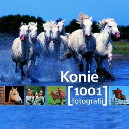 Konie. 1001 fotografii Opracowanie zbiorowe