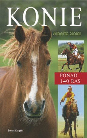 Konie Soldi Alberto