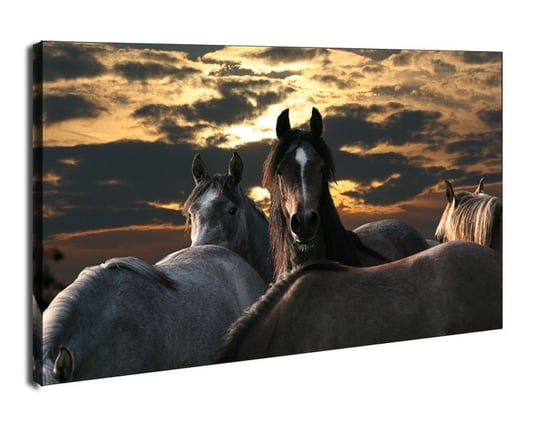 Konie - obraz na płótnie 120x90 cm Galeria Plakatu