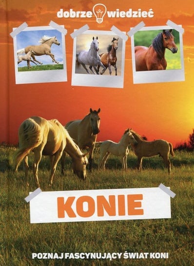 Konie. Poznaj fascynujący świat koni Opracowanie zbiorowe