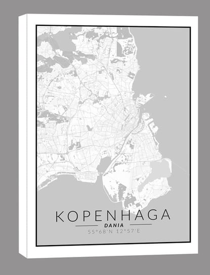 Kopenhaga mapa czarno biała - obraz na płótnie 40x50 cm Inna marka
