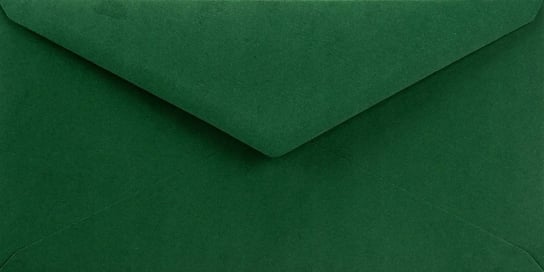 Koperty ozdobne gładkie DL NK c. zielone Sirio Color Foglia 115g 25 szt. - na zaproszenia w stylu boho laurki dla dzieci Netuno