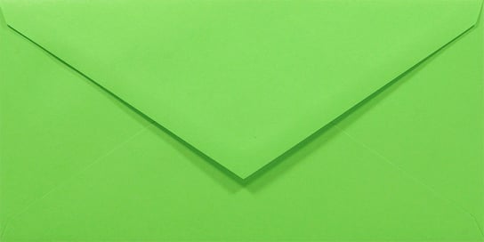 Koperty ozdobne gładkie DL NK zielone Rainbow R76 80g 50 szt. - na zaproszenia ślubne kartki okolicznościowe vouchery Netuno