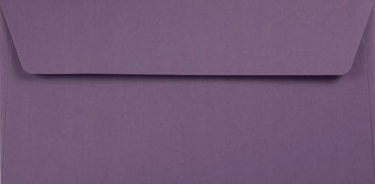 Koperty ozdobne gładkie ekologiczne DL HK fioletowe Kreative Lavender 120g 25 szt. - do zaproszeń na bal przyjęcie dla dzieci Netuno
