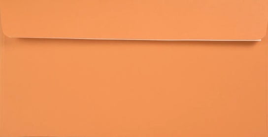 Koperty ozdobne gładkie ekologiczne DL HK pomarańczowe Kreative Mandarin 120g 25 szt. - na zaproszenia kartki vouchery laurki Netuno