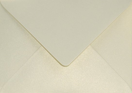 Koperty ozdobne perłowe B6 NK waniliowe Aster Metallic Gold Ivory 120g 25 szt. - na zaproszenia okolicznościowe kartki bony podarunkowe Netuno